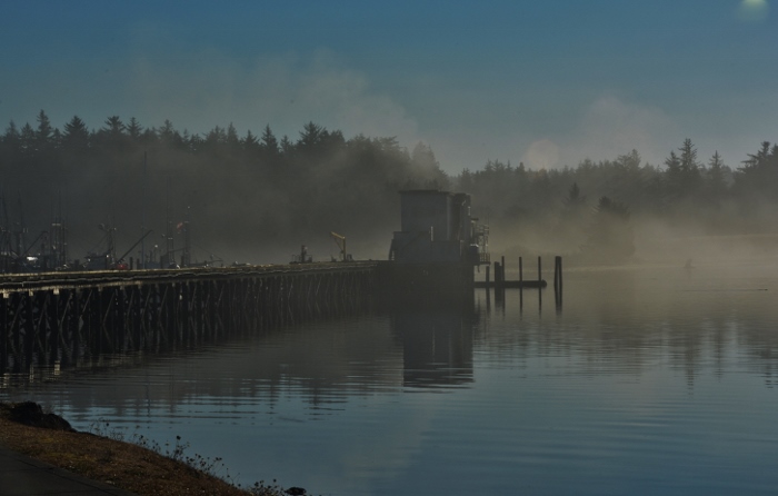 Charleston boat basin just as the fog is rising